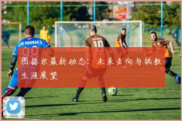 图赫尔最新动态：未来去向与执教生涯展望